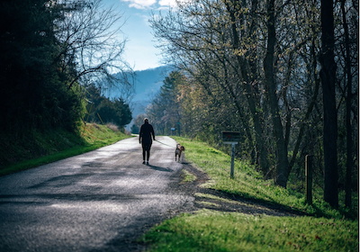 walk dog, exercise, move your body, mental health, social distancing