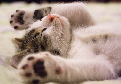 sleep reduces stress