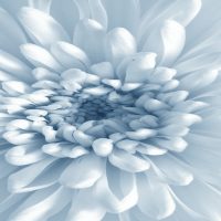 Three Reasons Not to Do Your Pelvic Floor Exercises on the Toilet