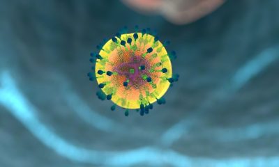 immune system stress
