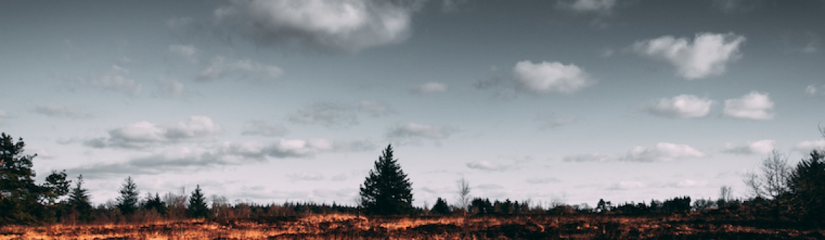 Osteopaths Volunteer