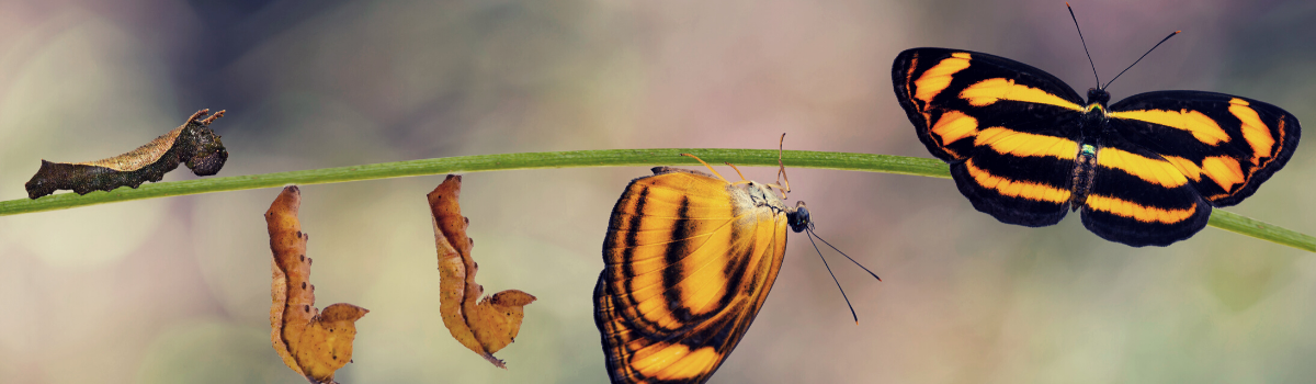Adapting To Change