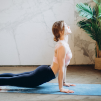 Low Back and Hip Exercise