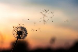 breath in